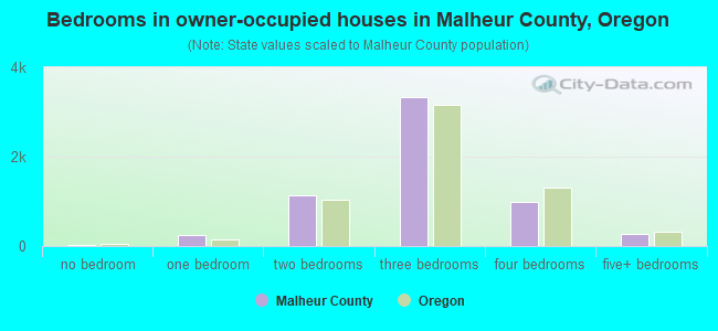 Bedrooms in owner-occupied houses in Malheur County, Oregon