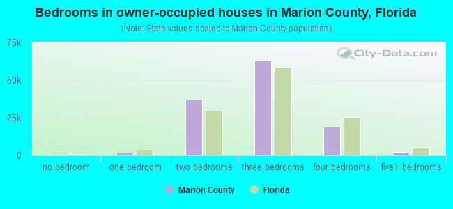 Bedrooms in owner-occupied houses in Marion County, Florida
