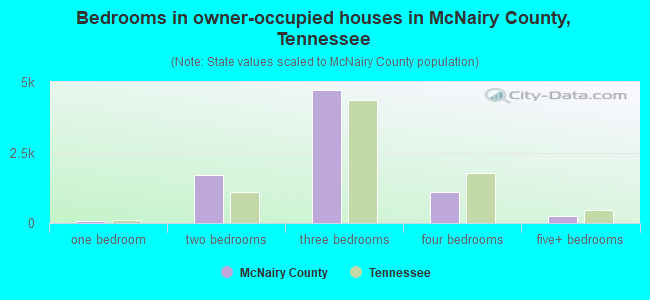 Bedrooms in owner-occupied houses in McNairy County, Tennessee
