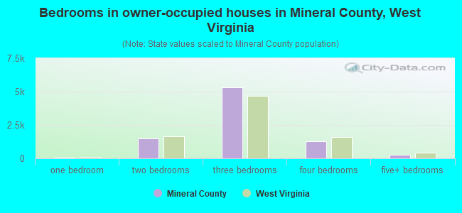Bedrooms in owner-occupied houses in Mineral County, West Virginia