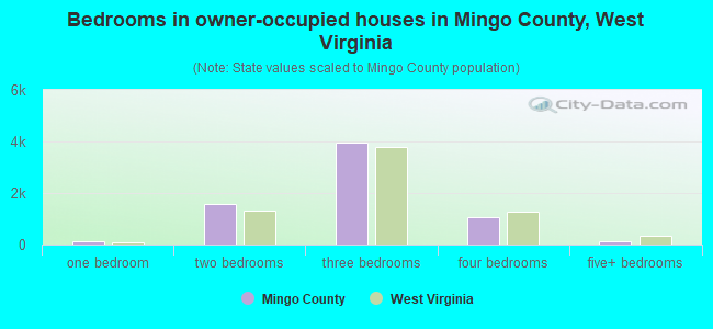 Bedrooms in owner-occupied houses in Mingo County, West Virginia