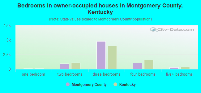 Bedrooms in owner-occupied houses in Montgomery County, Kentucky