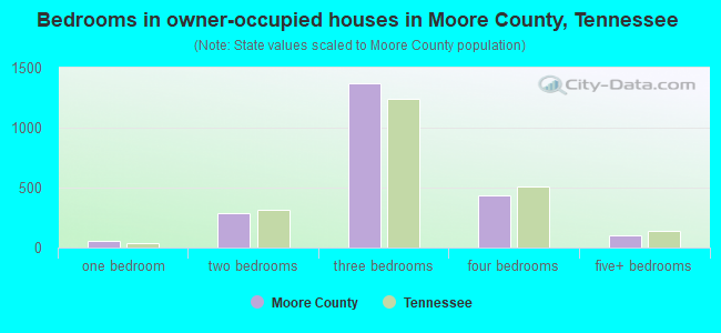 Bedrooms in owner-occupied houses in Moore County, Tennessee