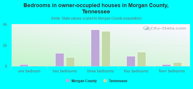Bedrooms in owner-occupied houses in Morgan County, Tennessee