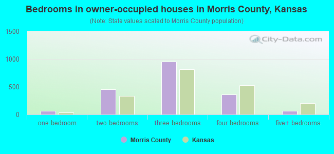 Bedrooms in owner-occupied houses in Morris County, Kansas