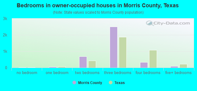 Bedrooms in owner-occupied houses in Morris County, Texas