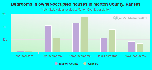 Bedrooms in owner-occupied houses in Morton County, Kansas