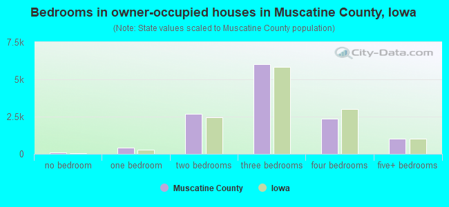 Bedrooms in owner-occupied houses in Muscatine County, Iowa
