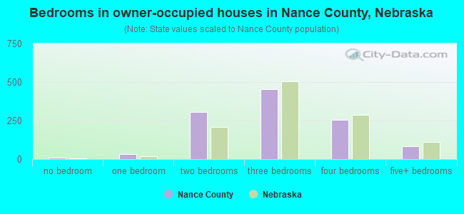 Bedrooms in owner-occupied houses in Nance County, Nebraska