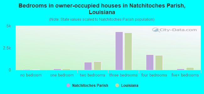 Bedrooms in owner-occupied houses in Natchitoches Parish, Louisiana