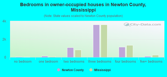 Bedrooms in owner-occupied houses in Newton County, Mississippi