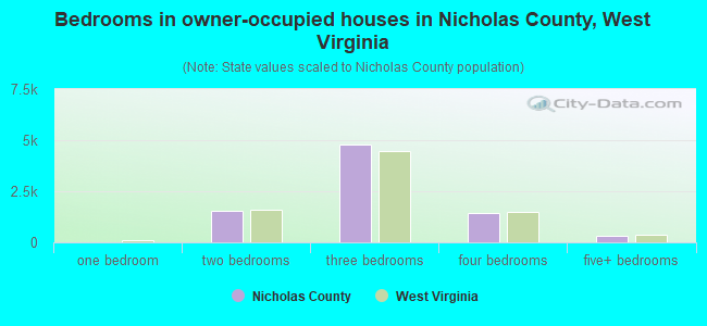 Bedrooms in owner-occupied houses in Nicholas County, West Virginia