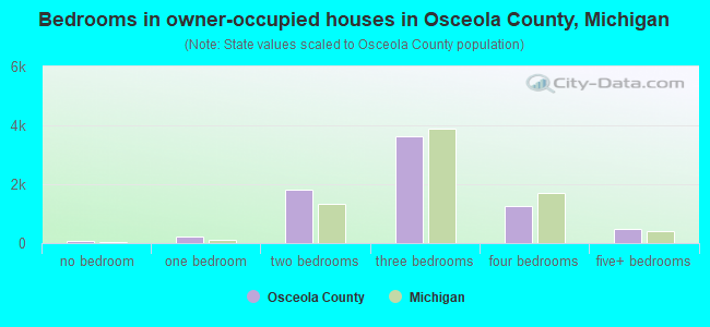 Bedrooms in owner-occupied houses in Osceola County, Michigan