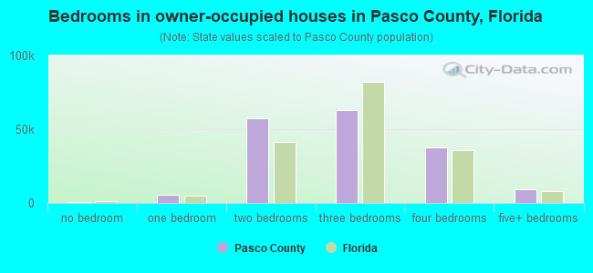 Bedrooms in owner-occupied houses in Pasco County, Florida