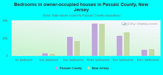 Bedrooms in owner-occupied houses in Passaic County, New Jersey