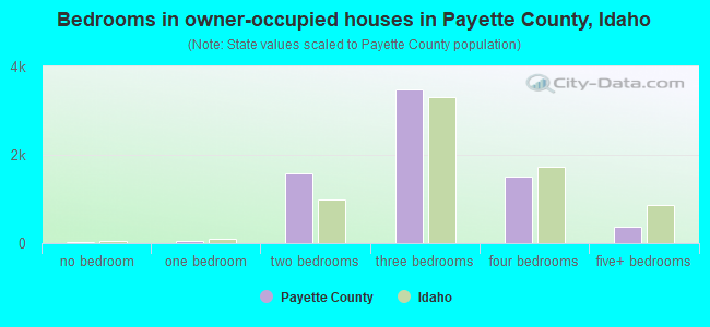 Bedrooms in owner-occupied houses in Payette County, Idaho