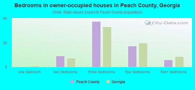 Bedrooms in owner-occupied houses in Peach County, Georgia