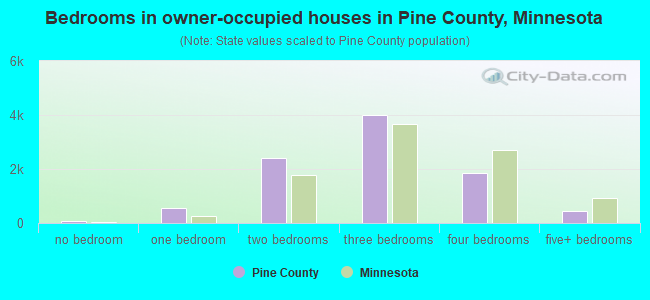 Bedrooms in owner-occupied houses in Pine County, Minnesota