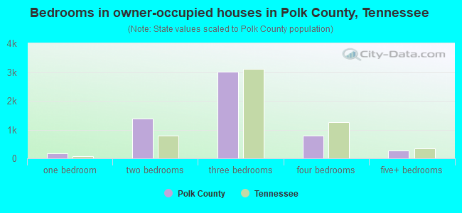 Bedrooms in owner-occupied houses in Polk County, Tennessee