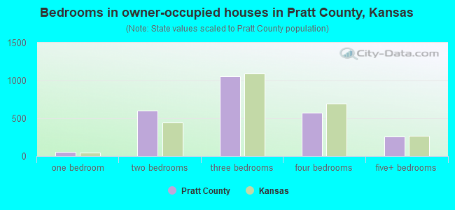 Bedrooms in owner-occupied houses in Pratt County, Kansas