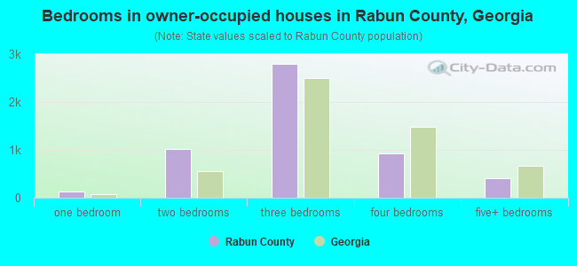 Bedrooms in owner-occupied houses in Rabun County, Georgia