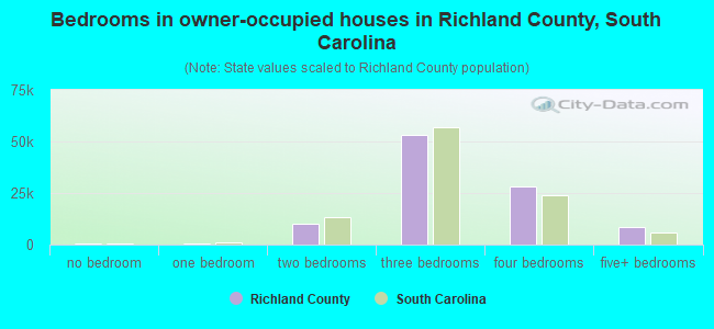 Bedrooms in owner-occupied houses in Richland County, South Carolina