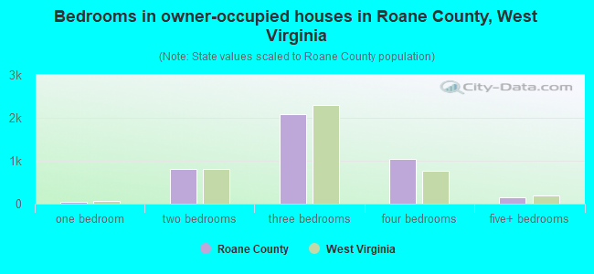 Bedrooms in owner-occupied houses in Roane County, West Virginia