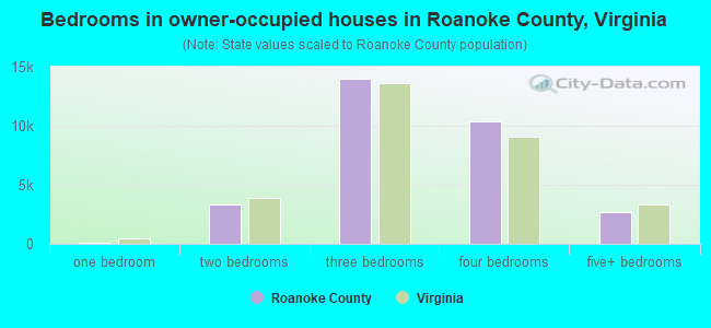 Bedrooms in owner-occupied houses in Roanoke County, Virginia