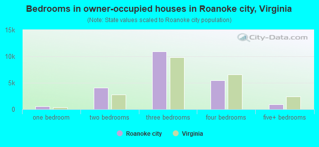 Bedrooms in owner-occupied houses in Roanoke city, Virginia
