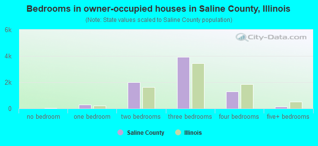 Bedrooms in owner-occupied houses in Saline County, Illinois