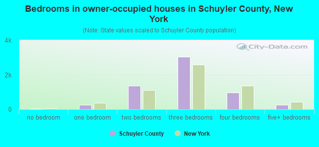 Bedrooms in owner-occupied houses in Schuyler County, New York