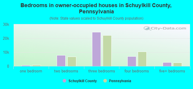 Bedrooms in owner-occupied houses in Schuylkill County, Pennsylvania