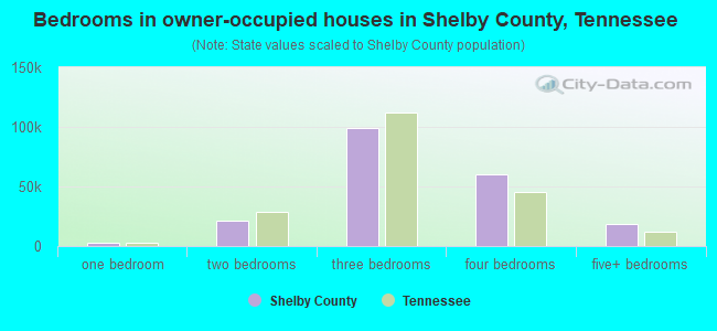 Bedrooms in owner-occupied houses in Shelby County, Tennessee