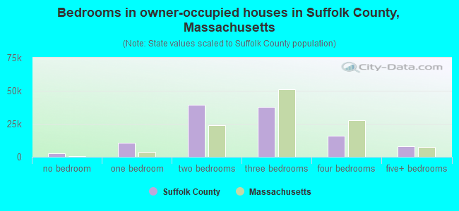 Bedrooms in owner-occupied houses in Suffolk County, Massachusetts