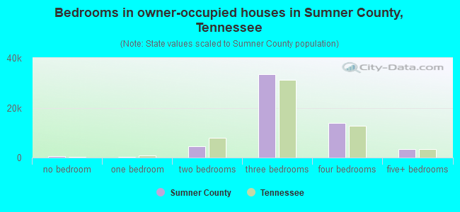 Bedrooms in owner-occupied houses in Sumner County, Tennessee