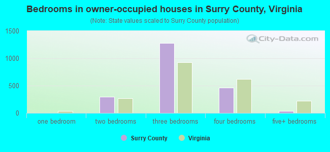 Bedrooms in owner-occupied houses in Surry County, Virginia