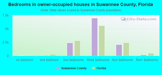 Bedrooms in owner-occupied houses in Suwannee County, Florida
