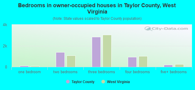 Bedrooms in owner-occupied houses in Taylor County, West Virginia