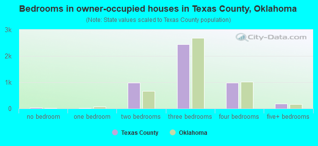 Bedrooms in owner-occupied houses in Texas County, Oklahoma