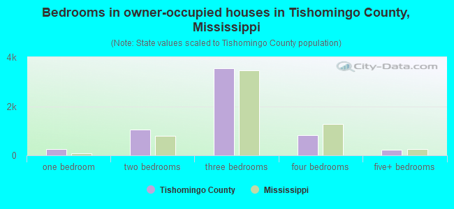 Bedrooms in owner-occupied houses in Tishomingo County, Mississippi