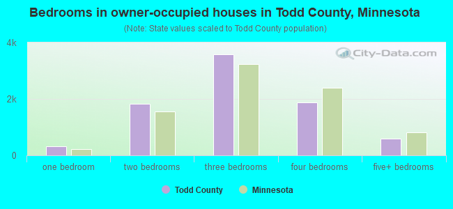 Bedrooms in owner-occupied houses in Todd County, Minnesota