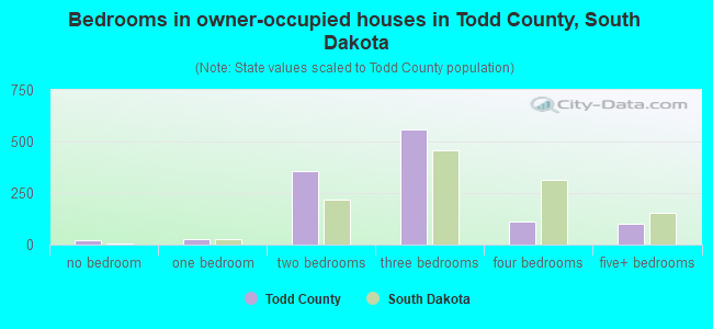 Bedrooms in owner-occupied houses in Todd County, South Dakota