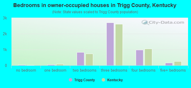 Bedrooms in owner-occupied houses in Trigg County, Kentucky