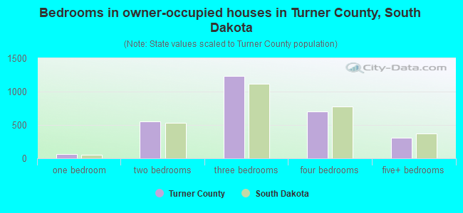 Bedrooms in owner-occupied houses in Turner County, South Dakota
