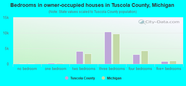 Bedrooms in owner-occupied houses in Tuscola County, Michigan