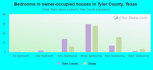 Bedrooms in owner-occupied houses in Tyler County, Texas