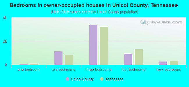 Bedrooms in owner-occupied houses in Unicoi County, Tennessee