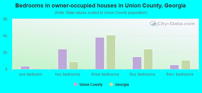 Bedrooms in owner-occupied houses in Union County, Georgia