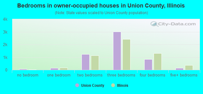 Bedrooms in owner-occupied houses in Union County, Illinois