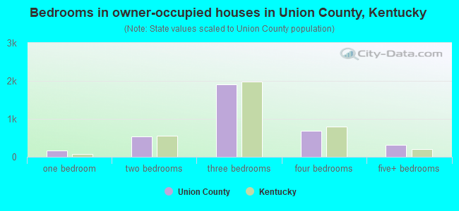 Bedrooms in owner-occupied houses in Union County, Kentucky